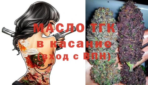 ешки Медногорск