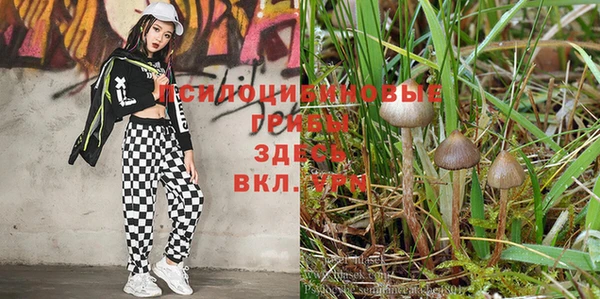метадон Балахна